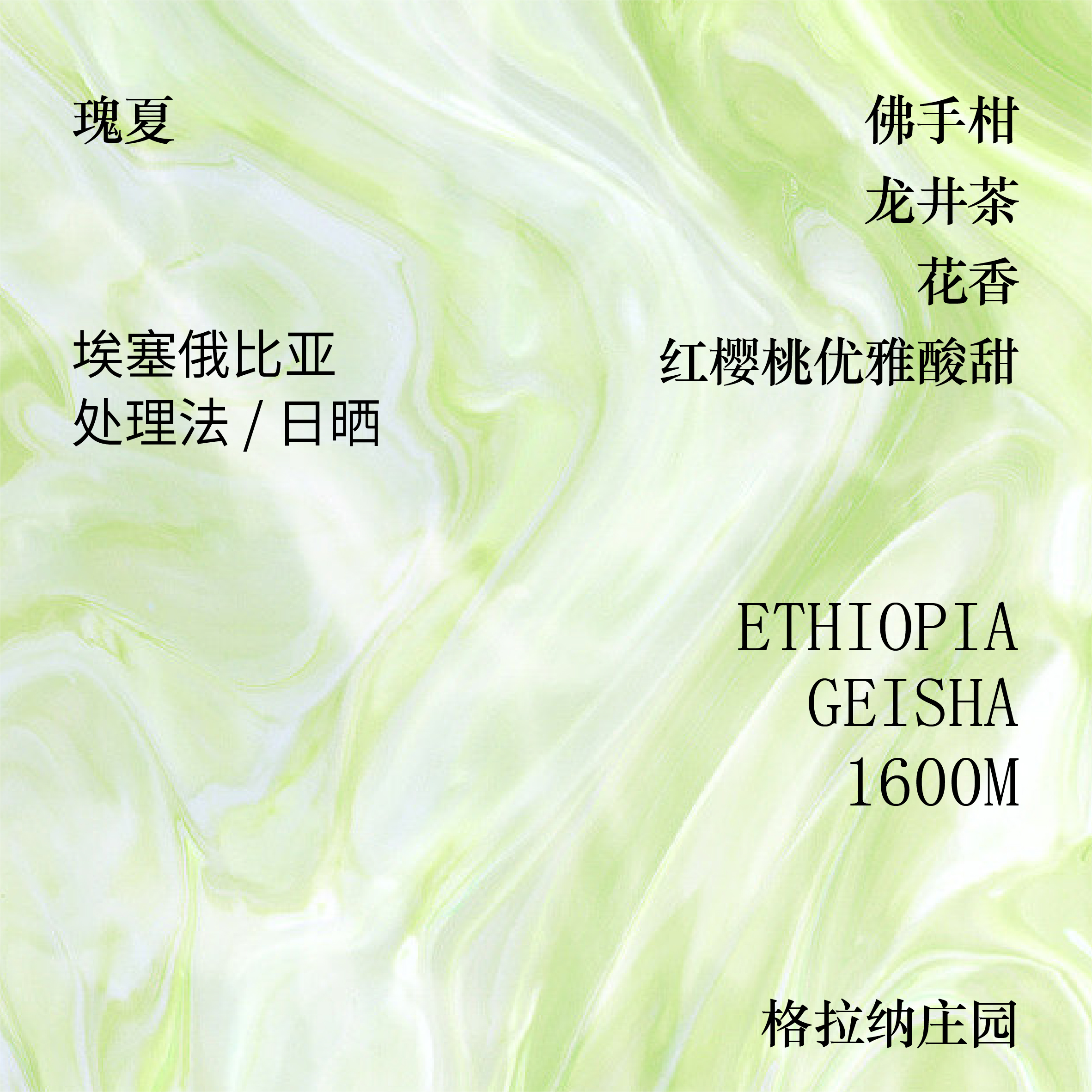 莫比乌斯咖啡 - 瑰夏 埃塞俄比亚 格拉纳庄园咖啡豆瑰夏单品手冲