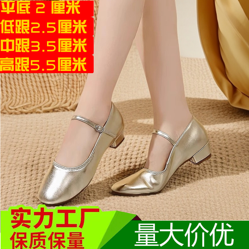 金色标准跳舞鞋低跟舞蹈鞋广场舞鞋软底中老年交谊舞带中跟练功鞋