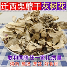 迁西栗蘑干野生栗蘑灰树花干货灰栗树蘑菇菌新鲜栗蘑河北唐山特产