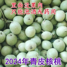 2024年新货泡酒用药用青皮核桃新鲜生绿皮去青皮湿鲜核桃薄皮嫩的