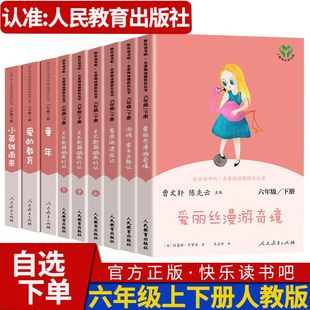 快乐读书吧六年级上册下册小学生课外书故事书爱 人教版 教育童年小英雄雨来爱丽丝漫游奇境汤姆索亚历险记鲁滨逊漂流记骑鹅旅行记