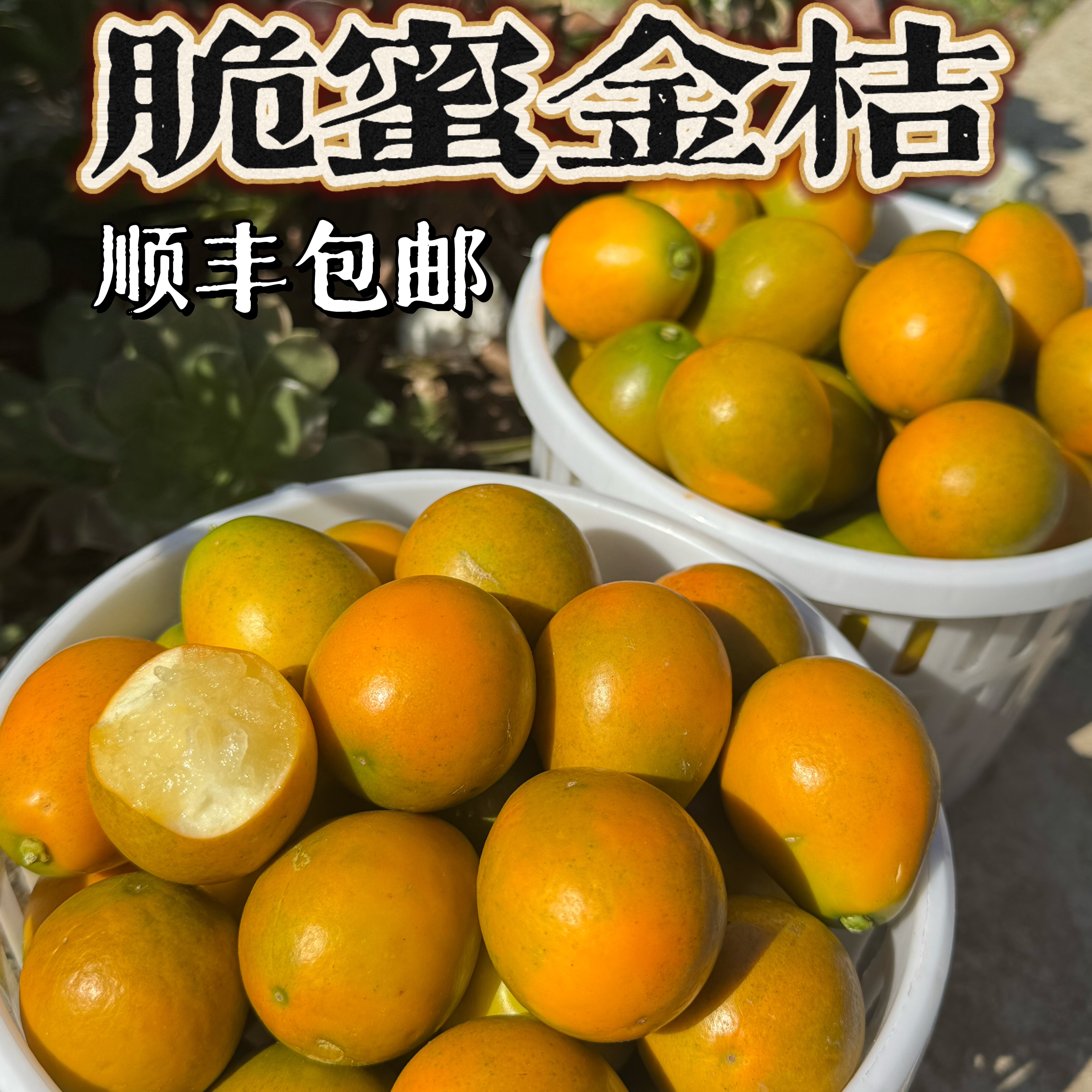 【建康啊】四川大凉山脆蜜金桔脆甜爽口皮薄肉厚（顺丰包邮）,水产肉类/新鲜蔬果/熟食,桔子,淘宝优惠券,粉丝福利购,淘宝优惠卷