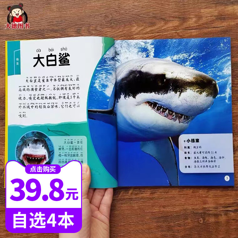 海底动物书海洋动物百科大全书dk海洋生命大揭秘