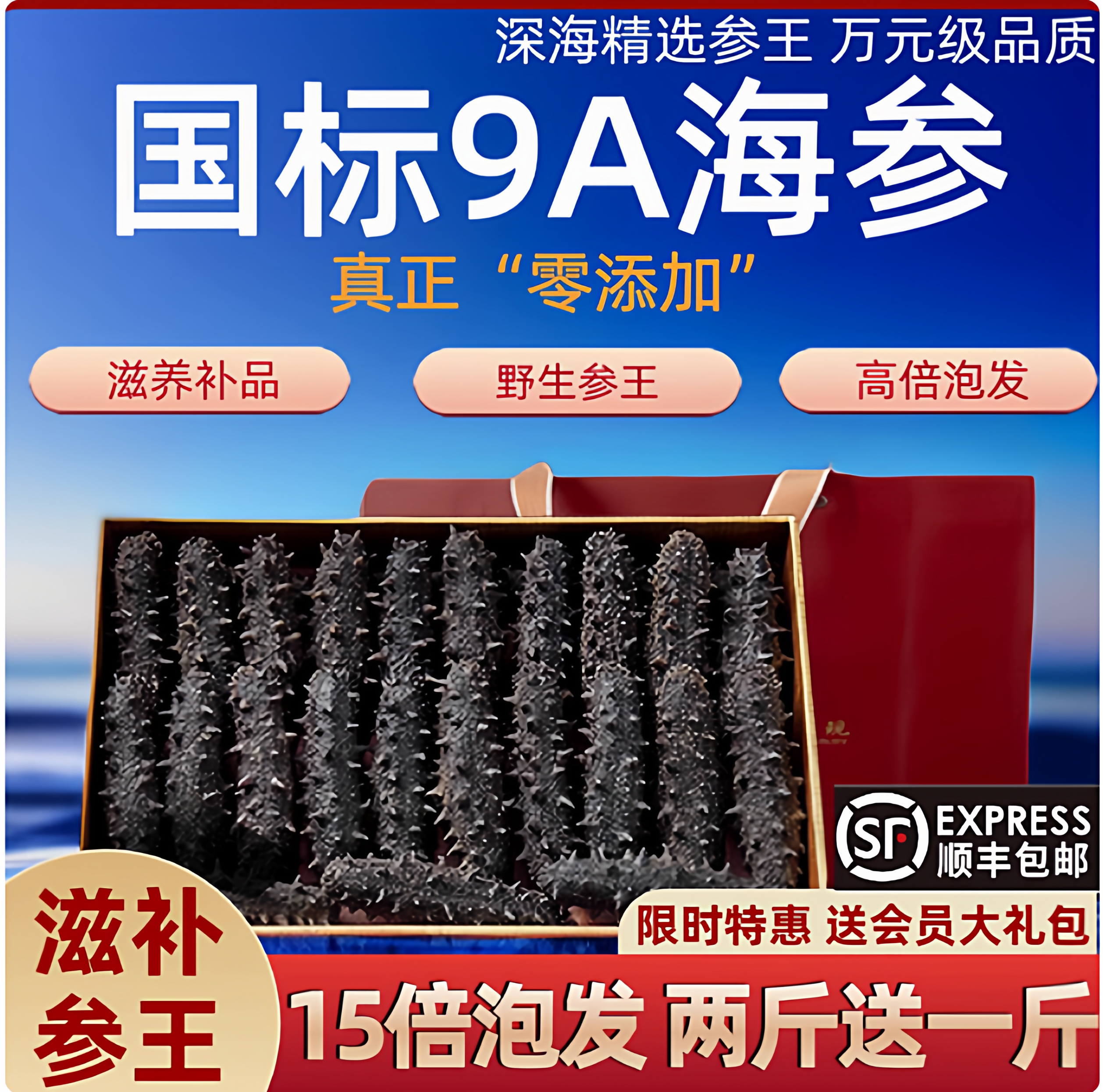 大连底播海参干货250克辽参刺参淡干参王非即食海渗礼盒
