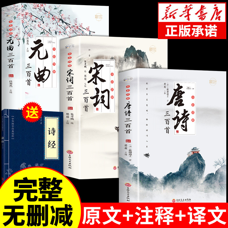 全套3册 唐诗宋词三百首鉴赏辞典元曲正版全集小学生必背300首幼儿启蒙一百首75儿童古诗中国诗词大会全套古诗词飞花令书籍大全年属于什么档次？