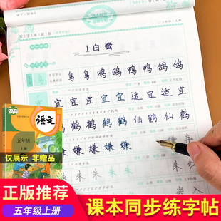 五年级上册同步字帖练字帖配套人教版配套语文课本小学生控笔训练写字帖罗扬楷书字帖儿童初学者写字本练字速成21天每日一练5