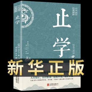 正版 止学王通 认准正版 精粹中国哲学书籍非人民南方出版 大儒文中子 处世智慧 原著完整版 中华国学经典 止学全鉴智囊全集 社