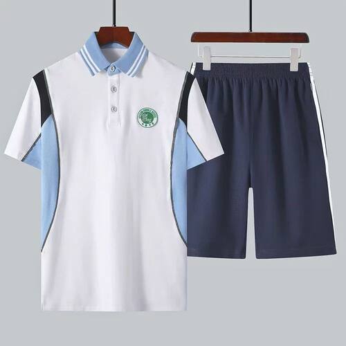 东莞可园校服洪梅中学校服棉短袖