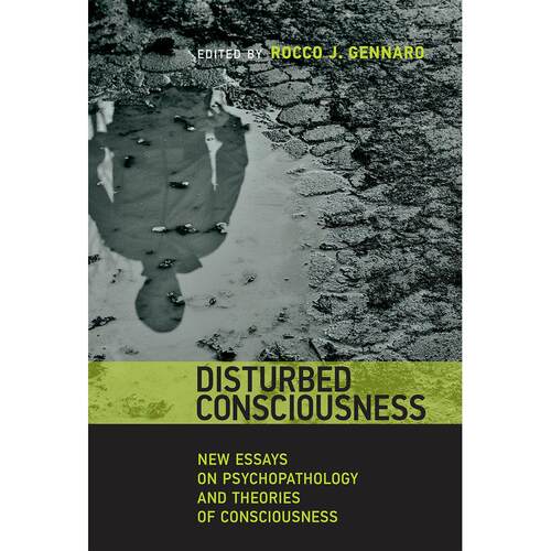 Disturbed Consciousness企鹅兰登 英文原版