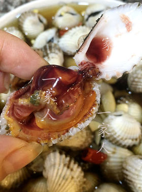 顺丰限区包邮东海野生醉银蚶血蚶毛蚶醉蚶子毛重2斤装宁波海鲜