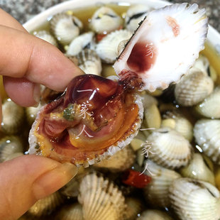 顺丰限区包邮东海野生醉银蚶血蚶毛蚶醉蚶子毛重2斤装宁波海鲜