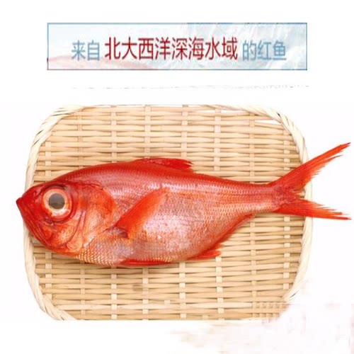 美国红鱼多少钱 美国红鱼价格 小麦优选