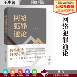 法学著作 网络犯罪通论 于冲 著 网络刑法 中国政法大学出版社