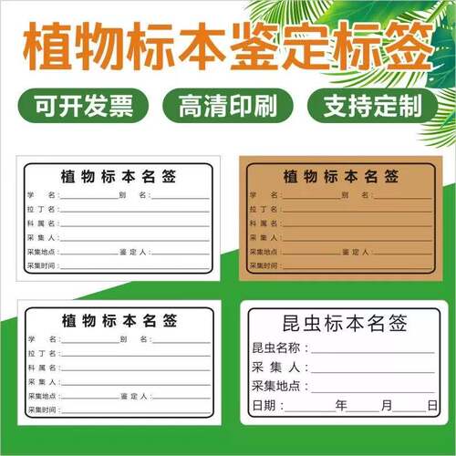 植物标本鉴定标签昆虫标本名标签