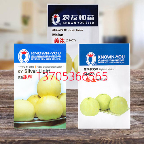 香瓜甜瓜种子农友银辉新玉美浓