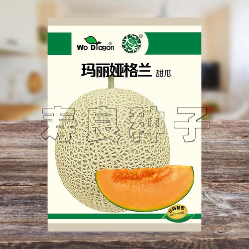 甜瓜种子玛丽娅格兰宽网纹礼品红肉厚甜软日本杂交孑水果种籽寿光