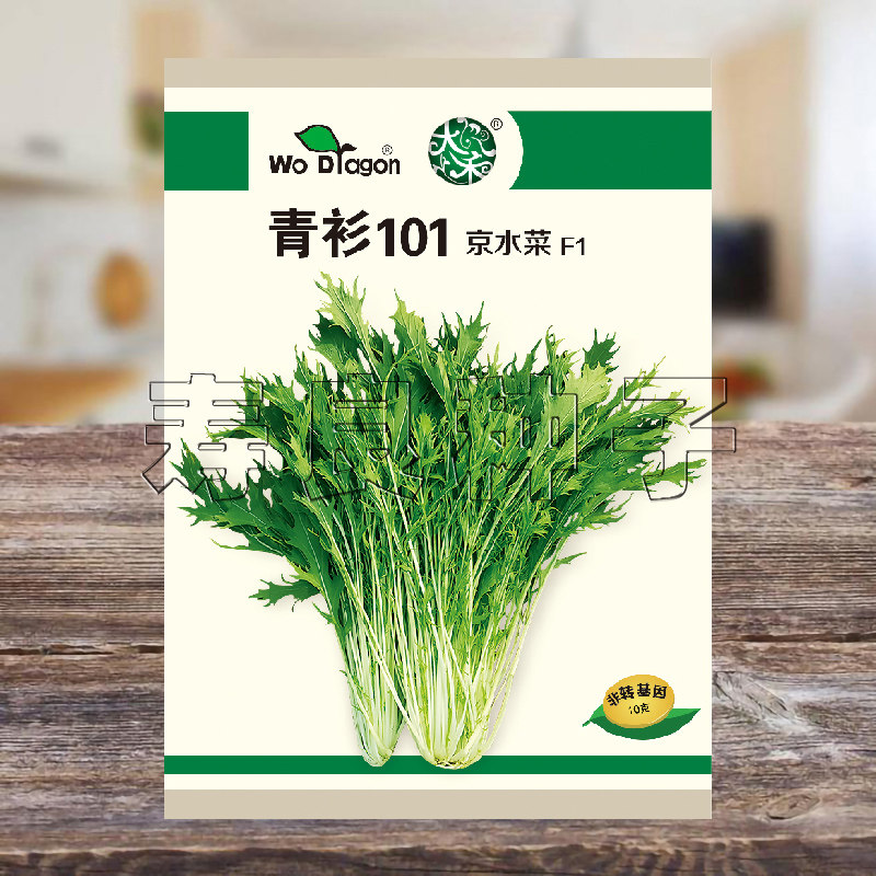 京水菜种子紫青衫水晶莱孑沙拉腌渍日本盆栽四季特色蔬菜种籽寿光