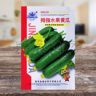 黄瓜种子拇指水果迷你小蔬菜种籽盆栽孑脆甜无刺杂交高产