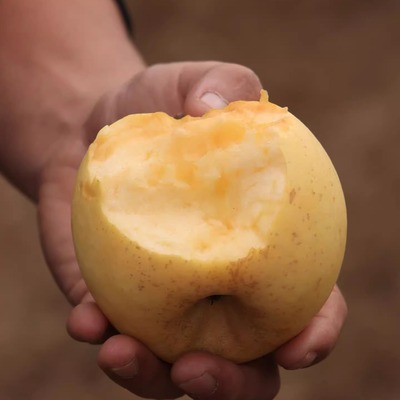 “锈“外慧中、甜蜜于心的维纳斯