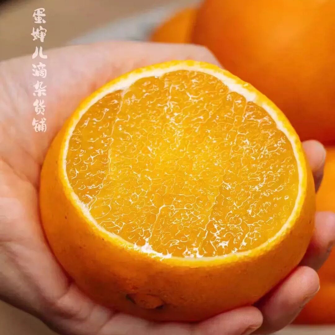 蛋婶儿红美人橙子福建漳州产地直发当季应季新鲜现摘水果脐橙顺