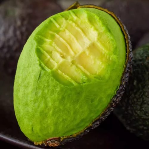 蛋婶儿哈斯牛油果云南牛油果