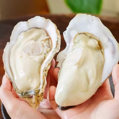 蛋婶儿山东生蚝鲜活特大牡蛎新鲜海鲜生蚝肉整箱5斤水产海蛎子京