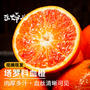 小小个！蛋婶儿塔罗科血橙新鲜水果橙子红橙重庆红血橙玫瑰香春节