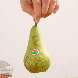 蛋婶儿比利时啤梨进口新鲜水果梨子蜜梨常温放软食用 2斤/4斤顺