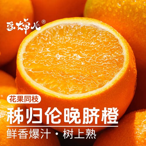 蛋婶儿伦晚脐橙秭归伦晚橙新鲜橙子甜橙时令礼盒湖北秭归春橙