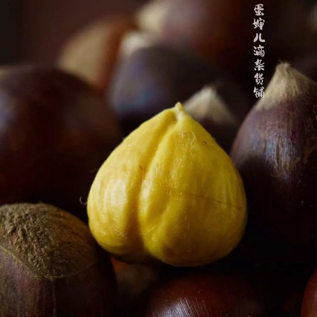 蛋婶儿福建高山锥栗新鲜即食甜香脆糯粉当季时令新鲜榛子送开栗器