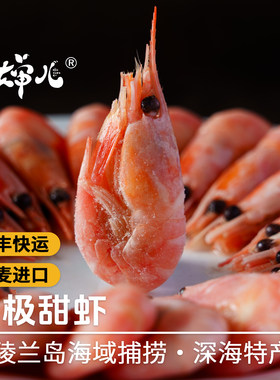 解冻即食的北极甜虾鲜甜营养