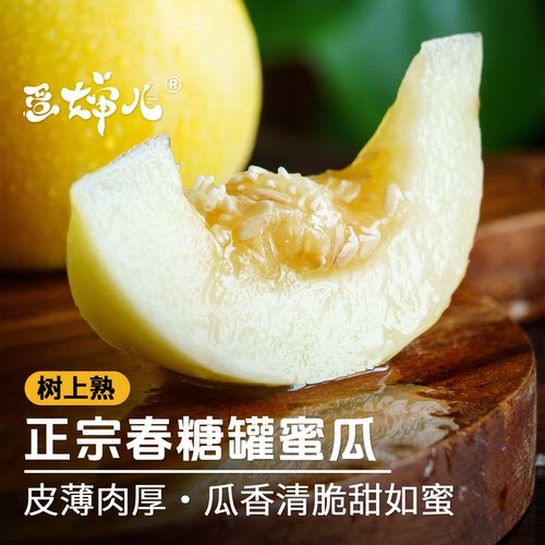 蛋婶儿小蜜蜂甜瓜香瓜蜜瓜白瓜新鲜水果当季星甜春糖罐蜜瓜顺丰