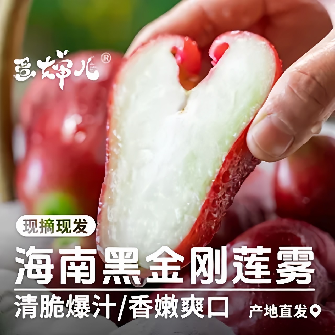 蛋婶儿黑金刚莲雾海南三亚新鲜水果当季时令现摘现发整箱礼盒补水,水产肉类/新鲜蔬果/熟食,莲雾,淘宝优惠券,粉丝福利购,淘宝优惠卷