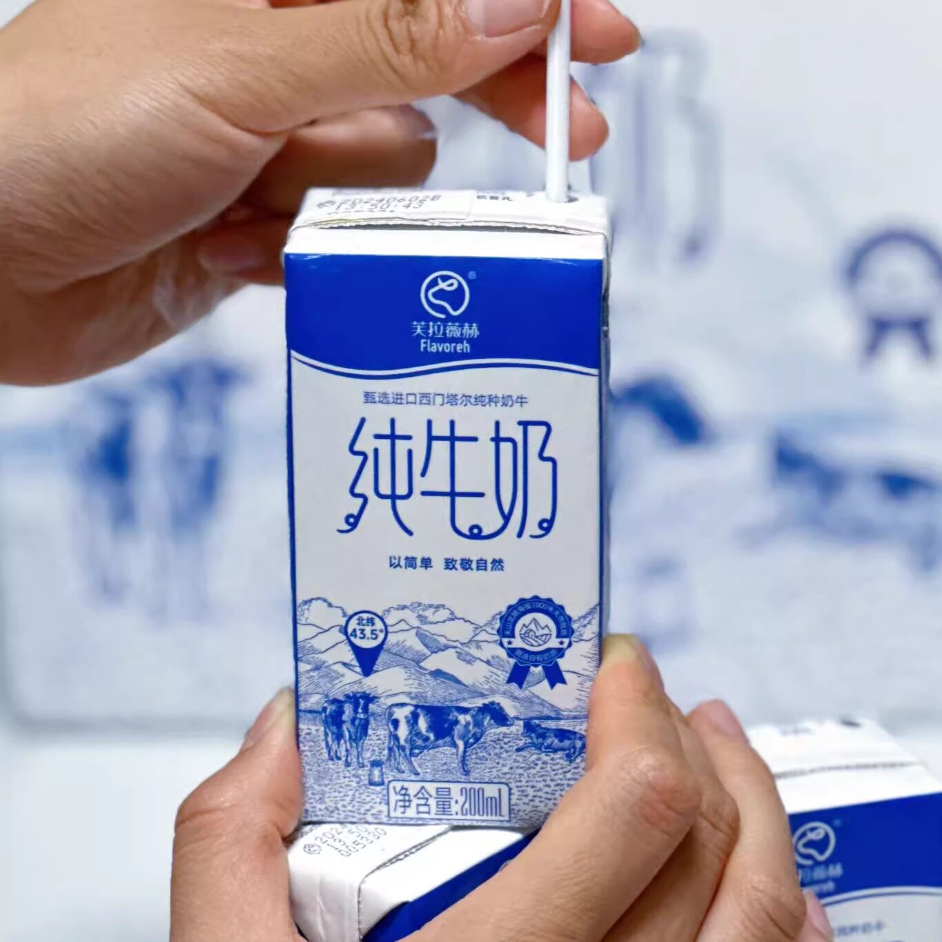 蛋婶儿芙拉薇赫新疆牛奶早餐学生整箱蛋白全家要的早餐奶儿童奶