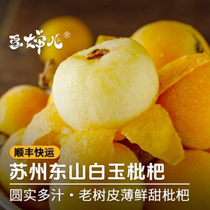 蛋婶儿苏州东山白玉枇杷鲜果新鲜当季时令孕妇水果甜枇杷顺丰整箱