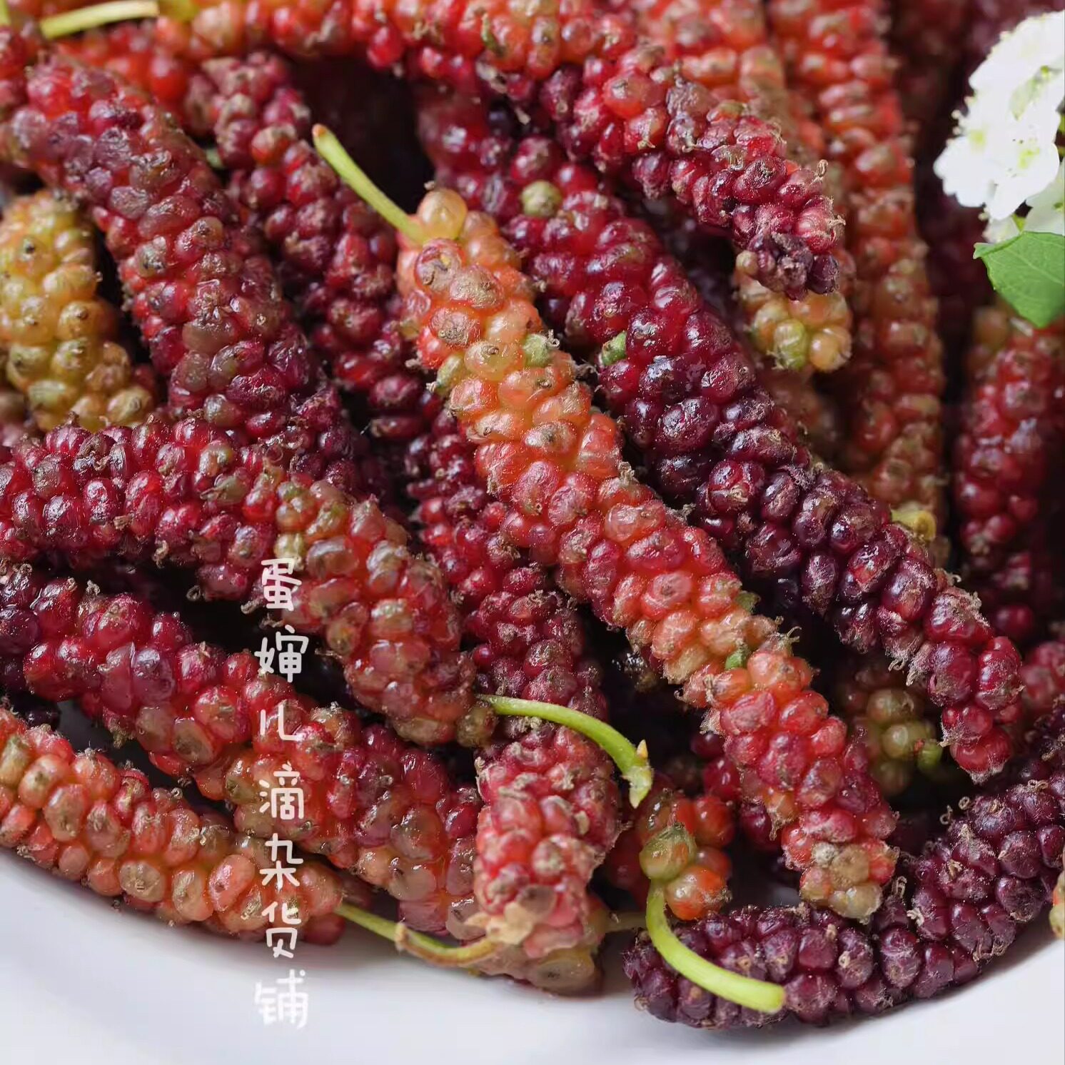 蛋婶儿紫金桑葚蜜桃果桑长桑葚四川凉山新鲜稀有新品种当季顺丰