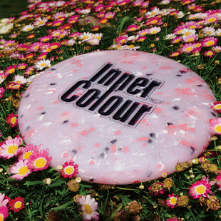 翼鲲175g飞盘Inner Color户外运动专业团队飞盘 比赛极限飞盘