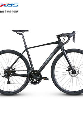 喜德盛RT180公路自行车碟刹变速休闲代步运动单车