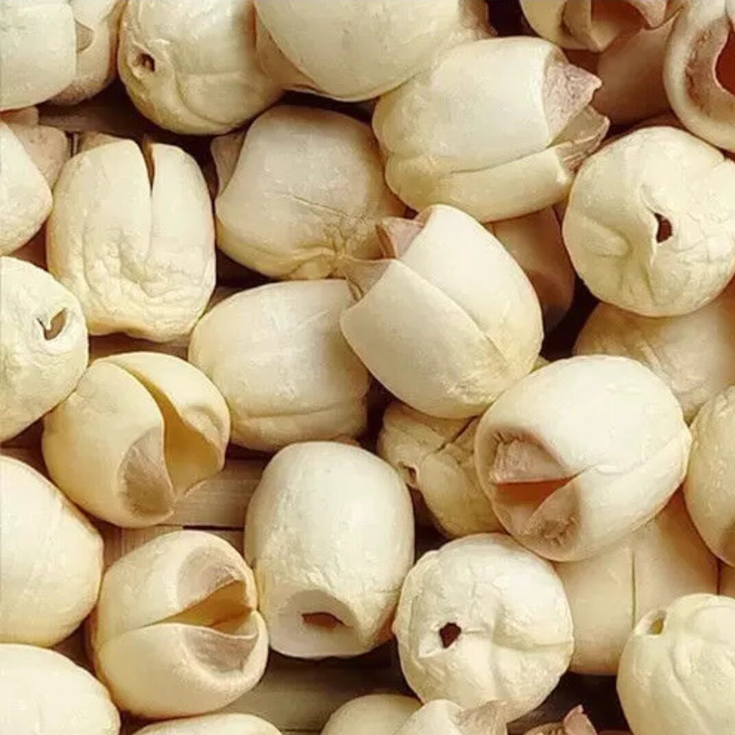 广昌新鲜莲子干通心白莲粉糯