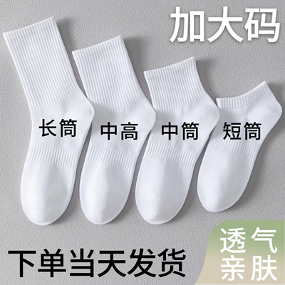 ins潮春夏季男女士中筒袜学生黑白纯棉运动袜短袜长筒袜无骨防臭