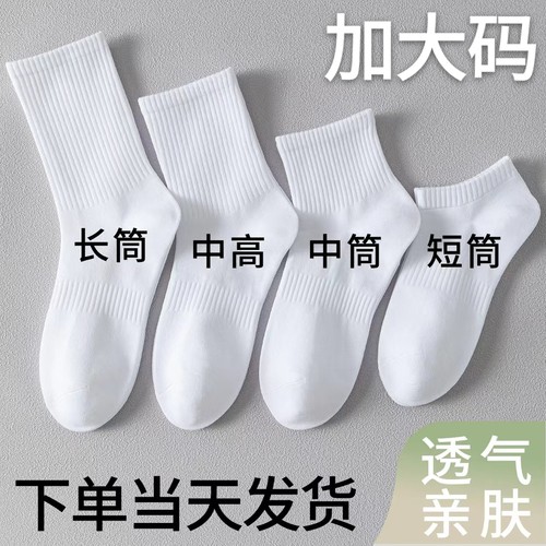 ins潮春夏季男女士中筒袜学生黑白纯棉运动袜短袜长筒袜无骨防臭