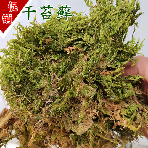 干苔藓干水苔水草乌龟运输冬眠垫才专用铁皮石斛兰花育苗嫁接种植 - 封面