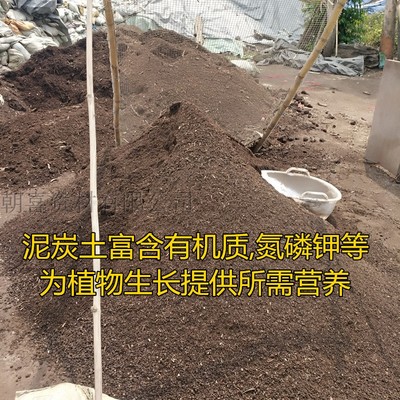 泥炭土家庭园艺有机多肉