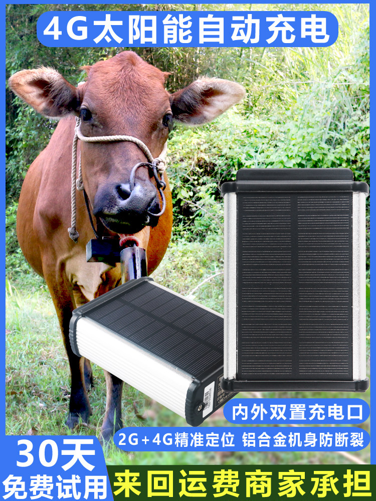 山区追踪仪放牧放山牛跑山养牛牦牛黄牛羊跟踪卫星GPS北斗
