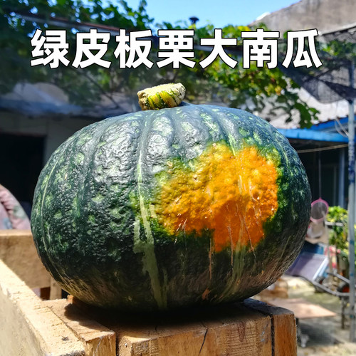 板栗南瓜新西兰绿皮大南瓜宝栗铁球老南瓜东北面窝瓜非贝贝小南瓜