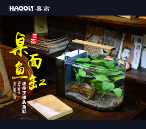 喜高桌面鱼缸创意小型迷你玻璃生态客厅鱼缸水族箱小鱼缸懒人鱼缸
