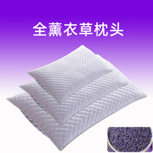 很香的全薰衣草枕头成人睡眠枕芯家用荞麦皮熏衣草精花品香味浓郁