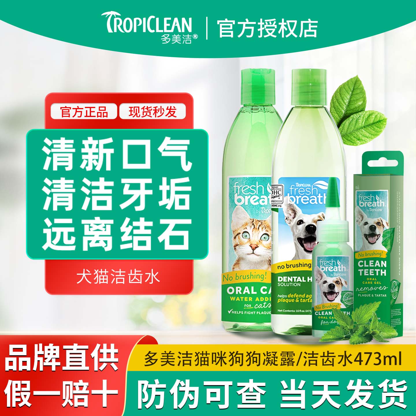多美洁口腔清洁清新口气洁齿水