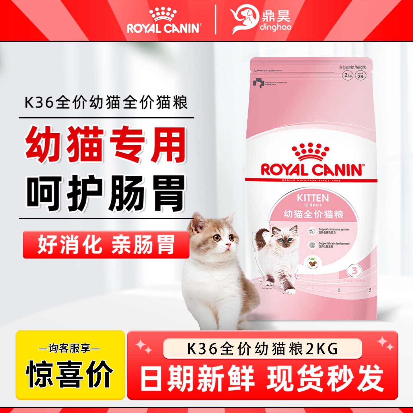皇家幼猫猫粮易消化增强免疫力