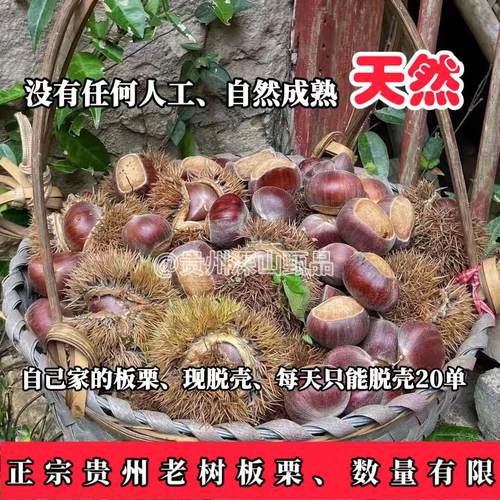 （自己家的老树板栗、只能发200单）2025贵州新鲜老树板栗子